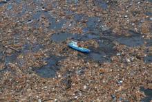 Il mare e l'inquinamento da plastica
